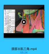 O

二、舌骨下区

32广 1.填界
2.内南
13 香骨下車群 ahalgult ma
350甲状線 thyroid gland
(1)形态与被腐:
369[甲状線]纤维囊 frous ca
sheath of thyroh
L 甲状綠參韧带 suspensory
38AMMR space between e
2)位置与电部:
3)平状藤的动压和啦的神经

39

甲状牌上动縣 superior thye

40

嘴上神经superior laryme

41

1R Fahsk inferior thyn
维返神经 recurent Larya
43

FI9f inferior larynecal

44

平状線最下动時 arcila油

颈部8肌三角.mp4

05:24