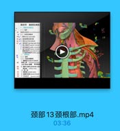 第四节 詢锁乳突肌

6

27

4(二)内官至其批報
64t 1. ER anss cervicals
65 g2.藝动藤購及詢內會
66 3. MMcarvical plexus
67 4. 2Fcervical part of sy
照上神经Tmeriw samieal

(-) *W
(二)内春及其點师
1. NiREicupula of pleura
文称Sbson基膜 西布森起
2 Fihl subcavian arte
Mihta axttary ancry

72

颈部13颈根部.mp4

03:36