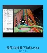 488 Il Elf apriplesral mes
文称Seson 熊膜 青布森
70 Ht1 axilary aky

6

71 1) 158 bnl utery
73 D3) fyrucervical

8

77
75

10

A

(3)M38

颈部15锁骨下动脉.mp4

04:13