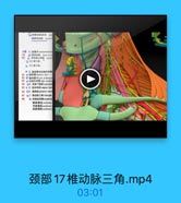 M[是模动鮮深支 0
有界背动修 doesals

79 ( 頭国结址 deig ceni
時◎ 助间单上ー
◎ (2)第2段:
。 (3)第3拉
B 3專导管地有限巴時盤
超2 € 周导管号ack of theracis
出 ○右華巴导管 rign b=phat
84 64.创师下OBsubda
出 5 送南神址vogus nen
Q6 i0iphrenic nen
7 67. 桂动味三角 rangie
8 tn ik# scalene
中斜角Macalenun
后料角机 salenus

颈部17椎动脉三角.mp4

03:01