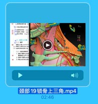 02

◎ 副神经淋巴结 a
02. 颈丛和臂丛的分支
肩胛背神经 dorsa
◎肩限上神经 SupFE
自称长神经 long tho

2.7

0一·锁骨上三角

28

●(一)境界
96

投骨上三f praclavicul 0
又称 類骨上大寓 greatec supcs
又称 肩群舌骨肌续骨三角
(二)内容及其社邻
1. 軟骨下静酥 subcla

97

聯時fjugular ars
2. 執骨下动路 subda
3. i/ brachlal plex

98

颈部19锁骨上三角.mp4

02:46