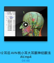 枕静脉
枕大神经
occipita
greal
3)外側组
(二)頭区
45 頭浅动脉
super

顳浅静脉
super

耳類神经
auricu
46 耳后动脉

poste

耳后静脉
poster
枕小神经
lesser

耳大神经

greal

耳后神经
posten

t2耳后AVN枕小耳大耳颞神经颞浅
AV.mp4
04:46