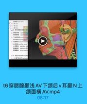 面神经facial nerve
# 第1段
# 第2段
13 第3段:
◎3.穿经認腺的血等訂特生
21 顳浅动誌 supetficiai t
B superficial te
21 下级后静話 nfromandibuila
頭外助誌 eslemnall earti
23 耳睡神经 auriculotemporal
上级动淋 maxillary artery
Llams maxillary veir
面横助脉 transverse facn
面横静酥 facial transven

21 4. Ril masseter muscl
24 5.顺下颜关节temporon

t6穿腮腺颞浅AV下颌后v耳颞N上
颌面横AV.mp4

08:17