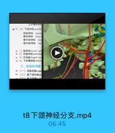 上牙價房动用
◎#(4)下颌神经mandib
咬肌神经 massc
题深神经 deep t

1UcO

翼外肌神经 latc
翼内肌神经 mcc

35 1)频神经buccal nerv
36 2)耳顺神经auriculot
37 3)舌神经lingual ner
38 4)下牙槽神经 inferic
三、面部的间隙
39(一)咬肌间隙mas
·40(二)翼下颌间隙pt

t8下颌神经分支.mp4

06:45