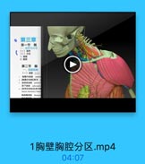 第三章

。

第一节 概

城界与分区
(一)塊界
(二)分区
2.陶腔
第二节 胸
一、浅层结构
(一)皮肤(二)
陶摩内动謝 interm
3 胎间后动味 postera
An Faol veberstal
4[间后动縣]乳房外份
lateral mammary branc
胸南峰动除 thorapoe

1胸壁胸腔分区.mp4

04:07