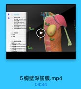 二、深层结构
D
(一)開廓外机层
海大机 pestaralis major
# 號胸華膜 charipectoeal fa

67895/

镇骨下Esbclarias
陶小M pectonalis minot
前螺Eseratun aslerior
3 青肌间藤 interpectoral =
1 陶肌湯巴維intrrpecfo

(二)深糖膜
2. 深层

(三)国南和助间题
胸起 heracic cnge
1e 助间外M iatrrcoatales extemi
h 助间外膜 eatemal istercostal w
1 助间内Mintercoatales interi
# 計鍋内號 istemal intercoatal n

5胸壁深筋膜.mp4

04:34