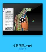 2.開量

D

(三)鳳廓和助间間

1 站同外城 esleral intercostal
1a 甜间内机intercontales interm
址 動间內獎 intemal interenstal
s 點同華内限 Intercestales inin
3 防间品静 posteriar intoeeoo
助间后动酥 pesterler isteroo
防间量上动味 supeeme int
1 甜网神经 isteroostal nerve

D

點民淋巴緒 intercosal lytpl
11 海惠内动慧 inbemal tharacic
乳席内静脉 intemal thonci
持 胸骨壳淋巴M parastermal ly
(五)郵横肌和壽内魅膜
40 肉横E traasverses therscis
41 胸内能膜 enletharacic fascia

6肋间肌.mp4

03:32