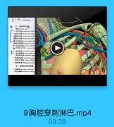 2. 深层

(三)剪房和助间除
胸南tharacie cage
# 助间务ML imtereostales extem
●點间外購estemal imtemoatal
参出间内Mintercostales intem
●助间内膜ineral interrostal
免 助降最内話 inteeoosales lntin
●貼间后静 posteriar interoo
● 助间脂动脉 posteriar isterco
● 防角最上动脉 sugoeme int
e 出网神经 intercostal nere
點興熱巴 inteecostal 1ymp
1a 胸專内动味 ietereal tharacic
郭车内静號 imemal thoeaci
1 胸骨旁淋巴站 parastersall ly
(五)胸横肌和胸内糖膜
4 购機E trnsverss thaneis
4 胸内能購 endethoeacie faacia

9胸腔穿刺淋巴.mp4

03:28