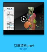 第三节 編
一、位置和分部
42 diaphmapm
(一)位置

25

(二)分部

676911

26

中心量rntral. tmndon

25

4 胸肪三角 serocntal. trian

29

4 國助三角 hmlocostal tria
(一)腔静脉孔
45 腔静綠孔 vna caval faran

34

(二)食管製孔

15

1-

4 食管平孔eephagpal hiats

E6

4 主动酥報孔 rtie hiatu

17

37

三、開的血整、林田
(一)立管
48 關上动酥 waperior phren

Ca 19

4 請下动酥 inferior phr

50

TI inferior phn

=1ma

12膈结构.mp4
06:01