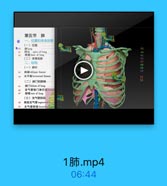 第五节 肺
一、位置和体表投影
(一)位置

@ab

肺lung
61
肺尖 apex of lung
時底 base of lung
(二)体表投影
二、结构
(一)肺叶
料報 oblique fiseure

64

水平製 horiaontal fissure
(二)肺门和肺根

65
5617 hilum of lung
46
支气管肺门淋巴结hrtic
B5iR coot of lung
(三)支气管肺限
4 肺段支气管srgmertal brala
支气管段 broncbepitinn

1肺.mp4

06:44