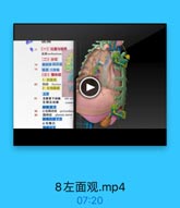 277
(一)位置与境界
編用meliastinum
(二)分区

78

解剖学四分法

79

临床,三分法
(三)整体观
1.前面观
胸線 thymas
2. 左侧面观
上

81

左镇骨下动味

left sut

左颈总动除

comme

肺根前方

82

心包關动味 pericardiac
編神经 phrenie nerve
肺根的前下方
心包隆凸
生排后方

8左面观.mp4

07:20