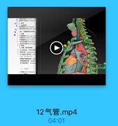 左號骨下类址lft sbdlarian

0.

3.动味御槽
助律老带 artttial ligamesl
动林导管三物:riegln of da
[四)气营陶部和支气管
气营單dhncio jart of tm
气管税Wifuroation f sarh
气管理 oarina.nf tnrhng
* 左主支气管lnd pricipal bn
18 本主支气管 right priacipal
3. 血管,第巴和神桂
熱運巴精 pwlmeniry lyn
18
支气营操门率巴排 tmm
又称“种口解色陆”。
气管文气管淋已商 tncl
气蒙考淋日级 Fat
支气管城陽干 heonchon

7

三,下编篇

12气管.mp4

04:01
