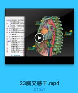 56 03.解空动録 主动器场
纵隔前淋巴lanterior #

57

L 纵隔后淋巴结 pestering
□ 4.奇静脉,半奇静酥和期
58 ◎奇静 arygos vein
59 o 半奇静脉 hemiazygos
60
9 副半奇静脉 accesson
5. 陶导管

EN

71
C
胸导管thoracie duet

72

#LINL cisterna chyli
73 66.胸交感干thoracie ym

74

白交通支white comm

75

灰交通支 grey commun
胸神经节thoracie gan

76

内脏大神经geater

77

内脏小神经 lmser wpl
内脏最小神经 least s
四、纵開间题

23胸交感干.mp4

01:51