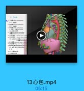 三、下纵隔
113 TMM.Ri inferice modiatinum
(一)前纵隔
1 T M.F anterior mediatinum
(二)中纵隔
17 iM middle mediastimm
1. Dt 8pericanium
(1)位置和旺等
18 $F18 d E fihrous pericandium
5 mus pericanfiun
parietal layer of per
21 [心包]駐漏
visceral layer of per
(2)心包腔:心包能periesedial o
心包真perieanlial a
21 D tlt il tranwverse sinus of perten
27 oblique sinm of pericanli
(3)血管、淋巴引流和神连:
2.0
24(1)位置和電书:
28 心的体表投影

13心包.mp4

05:15