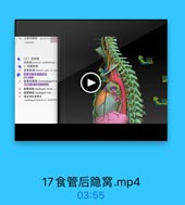 左室后静脉
posterior vest

Ventriche

(三)后级隔
N 5A R posterior mediastinum
● 1. 食管N部
e 食管与房主动林交艺
(2)直管,序巴牙独格种经
食管动味 -phageal artery
if D8 esophageal vein
esphageal branch of securrent

17食管后隐窝.mp4

03:55