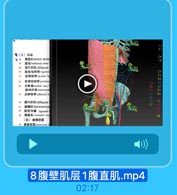 ●(三)肌品
$18
l rectus abdor

24

19
建划 tendinous inter
70

腹外斜肌obliquus

25

腹服沟倾带 ingainn

2.4

腔總帮带 lacunar lig

29

耻骨梳倾带 pectinen
内割脚 medial crus 2

11

即间纤线 intererurnl

J5

反转韧带 rellected Li

16
腹内科机 obliquus
護横儿 transversus

38

腹設沟縣 inguinal

30

提率M cremaster m
(四)腹横筋膜
30 鹿機筋膜 transverse f

8腹壁肌层1腹直肌.mp4

02:17