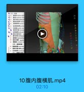 ●(三)机层
MiMlrectus abdo

24

It il tendinous intet
20
9M obliquus

25

● 21 腹股沟韧带 inguin
22
腔障韧带 lacunar
●2 耻骨梳糖带 pectine

28

電24 内侧脚 medial crus

29

脚间纤維 intererur
25 5 i tm reflected
●腹股沟管浅环 s

31

24 提内斜肌obliquus

12

32

Hltransversu

13

33

21 直股沟鐮 inguinal

34

29 提奉肌 cremaster m
(四)腹横筋讀

15

加 旋横筋膜transverse

36

# 直股沟管课环profu

17

32 M1 40 interfoveol
(五)源膜外组织

10腹内腹横肌.mp4

02:10