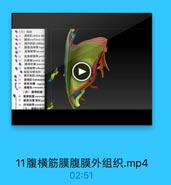 ●(三)肌星
ilrectus ab
裁划 tenddinoos int
●2 護外斜机obliqul
●21 直股沟韧带ingui
02
腔限韧带lacunar
●z 耻骨梳韧带 pectin
●24 内侧與medial cru
● 脚间纤準 interen
◎ 25 反转辑带reflectrc
● 腹股沟管浅环
20
讓内斜肌obliquu
旗横肌 transvers

27

28
塵股沟線 inguin
提率肌 cremaster
(四)腹構筋膜
腹横結購transvers
腹股沟管课环pr
及 凹间朝带 interfove
五】国護外组维

11腹横筋膜腹膜外组织.mp4

02:51