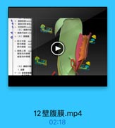 30 直機筋膜 tranave
3 康股沟管深环户
3 凹间鶴带 interfor
(五》旗膜外组
33 腹顾外组辑 extra
3(六)塑腹膜
15 勝正中號
脐內侧裝

med
脐外側裝
Late
36 時洗上窝
腹股沟内侧窝

uins

腹股沟外侧窝

(七)虛前外侧
1.血管
3 (1)助间后动聯

12壁腹膜.mp4

02:18