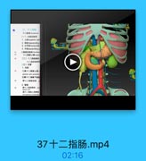 三、十二指临
十二信級duoderimn
(一)分部及此部
1. Ll superior par
2. 降柳doscending
3.水平都horizontal
4. 升部asconding P

YU UOnu T1J.cat

二相縣空部自 dualme
十二指菌上號sperl
[二)十二削路最机
十二指肠最物代
【三》立管
1.动號
工機十二種歸上前。
uteriar wut posterior
区國十二推脂下动刷
胃十二服肠动品
請十二推曼静味
desal weia
陕十二南薪上義静味
riar pincrca looduoder

37十二指肠.mp4

02:16
