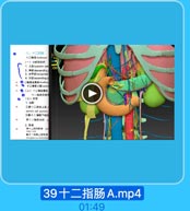 三、十二指肠
十二指路 dcodenus

3

【一)分的及肚第
1. LAlsuparar par
2. 5296 descending
2. *T#horizonlal
4. ## asoending p
● 二指西空蛋曲 dEnderrg
十二指彩上馨speC
●(二)十二著民暴
十二指高息械开
(三〕血整
1. DI
工族一二老历上前、
aneiar and posterioc
使裝十二指随下和民
青十二指肠高除
請十二棉防熱第 ron
drrai win
肤十二十研上床价修

39十二指肠A.mp4

01:49