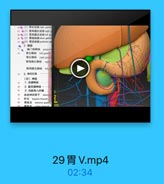 le◎(2)青右动脉 righn gmcri
17●(3)胃网膜右助縣
編費(4)胃网膜左物味left p
u●(5)胃短动號 short gatri
10●(6)胃后动路 posterliat g
2.静脉
11
、書门前熱味 prepyla
胃左静脉 left gastric
胃右静脉 right gastan
胃网膜右静脉 right
胃网膜左静除 left三
3.淋巴引流
(四)神经
1.交感神经
2.副交感神经
3.内脏传入纤维

3

速走神经前干 anterinr
肝支 hepatic branch
胃前支 anerior gastric

29胃V.mp4
02:34