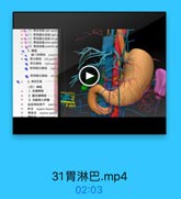 66◎(2) 胃右助購right patrit
67 ●(3)胃网膜右點脉ripht日
品●(4)胃网膜左點脉left ea
6●(5)胃地动脉sheet gaatri
7 e(6)胃后动N posteriat f
▼2.静隊
膚门前静脉 prepyle
● 胃左静酥 left gasthic
● 胃右静歸 fight gas
◎ 胃网膜右静味 right三
● 胃网膜左静時 lcfl
3.淋巴引流
(四)神经

71

1.交感神经
2. 副交感神经

Wxxx333

3.内脏传入纤维
迷走神经前干 anterioc

YB.com

EFJ hepatic branch
胃前支 anlerior gastri

31胃淋巴.mp4

02:03