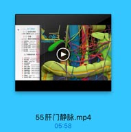 一八、肝门静味
(一)组成和機型
a I门静l hepatie portal

vVXxx33

(二)位置
u(三)属支与收集范围
J CONGY/3.c

# 新系腿下参線 Hriwn
9 青衣物品 fgories
上,下腔静除哈合 食期

SF 重營上熱味:一1中

55肝门静脉.mp4
05:58