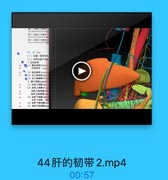 請十二指縣上品動絲
Arint pascsmstioadan
請十二南施下系藤味

(一)位置,北都与体
(二)哲带与開下间牌
1,联的哲用
◎(1)编状解帶rifom
郵置材電 1igame
(2)冠状韧管conra
●(3)右三角帮带right
●(4)左三角物带leh
2. 請下汽開subphvw

####1#1

(1)右肝上间單rigat=
(2)左肝上间期inft pif
左肝上前河障:四
农肝上财间限podln
(3)在肝下闻量 rigal e
左許下间障 lcit
(4)左許下前网期a
(5)左肝下监间限poalr

44肝的韧带2.mp4
00:57