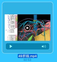 d 1. 肝门静脉hepalia par
◎ 2 肝固有动隊 proper10
O 3. 肝管hepetic duct
◎4.肝静家 hapetic ven
10 Q格二肝门 smrdsry Sw1a
C(1)肝左静味:left lepatir

1(3)肝右草e right hepuriit

11 g4=升门 (nind partoof lac
(4)右后静縣xigat puatl

L(s)尾找叶静路rwudste h

【五)分叶与分段
12 1.肝级的概念
3 0 Glican 系统
● 肝静謝系统
2.肝叶和肝成的划分
1> (I)正中4 mredizn fisng
16 (2)背裂 dorsal fissgre
17 {3)左叶向裂lelt imecal
s [4)左股间裂l intitauis
19 〔5)右叶间裂:ialn inlsnlsn

49肝段.mp4

02:53