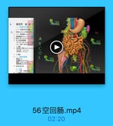 第四节 结肠下
(一)检置与书市能貨
O 开 空F⑉ 及黑班F菜
n(二)路系质-

66

存左、右勝系膜震
Mi and right mesrtaene ole
[三)重管,第巴引流及种使
基系は上はー=ーーn

醫商期 idlseal vahs
需尾e# spndieidg arw
能單位置可堂
프、结肠
(一)分部,位置及老老

56空回肠.mp4

02:20