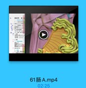 第四节 结疆
一、空肠和目版
(一)按置与形态
◎n(二)超系版-

◎7 左、右膳系旗實
lelit and right mesetter
1.动量
查藝动售 jtjealarin
图語动線 Aral snery

神 用见位置可卖
三、林肠
(一)分部,位置及起物
1.开MH asoerding

61肠A.mp4

02:25