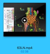 第四节 结肠
(-) 256ER
on (=) 558

66

03 左、右膳系旗書
left and right mesrserrle

B

e
--

--

E

1 限地位置可受
(一)分部、位置及此C

63LN.mp4

02:38