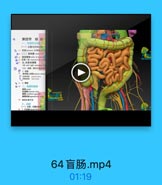 第四节 结肠
(一)位置与用本和
0升 空肠jm晶 及腐級5om
◎付(二)施系膜 mtir
b # 系號三角 meetwin sur
左、右脑系膜要
left and right meetienica
[盖》查管,算色引图应神
新系重上动量=arior
g场记社 Jjiand snary
7# 2B

EEERRRNA

作 黑尾位置可史

64盲肠.mp4

01:19