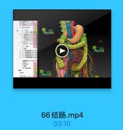 面神经
gcnu.e
O 46 上橄模構 superin
· 47 红核脊儲束 rubr
O 48 三叉丘脑束 trige

E

WW4

O 49 外側丘系 lateral

SA

· 50 前庭上核 superi

FC

F 51 前底内侧核 med
1 52 前底外侧核
laten

25

F

as

Lac

6-53-脑桥中部三叉
54[三叉神经]感觉根
[三叉神经]运动根
55 三叉神经脑桥核

02

0E

56 三叉神经运动核

12

57 小脑上脚 superior G

SE

58 小锅中脚 middle

$2
EE

59 被盖中央束 ceml

E2
22

2E
TE

a4脑桥中部三叉神经根平面.mp4
01:52