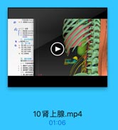 下级动轴 boeer
94 2. R# lkronal ve

第[二】拉體
1.籍時颜ronal fas
2. 新肪製adpose
3.纤眼录frous

餐轴果营 uorirt

D

四,胃上館
好 青上國 wprresal
每 骨上庫上动話
青上量中动肆
請上華下动車
第 灣上牌静味
五,维主动脉
雅主动味-aeinal
(一)不模刘的註
1.請腔干celiac tr
1 2.延系膜上动號6
1 3.新系膜下动脉i
(二】或对的脏支
1.薄上塑中动味m

10肾上腺.mp4

01:06