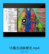 *w 每上維熱師
五、脂主动址
種主時線ahloinal sena
【一)不國对的胜支
1. 122F celac trunk
2. 新系膜上动味 superior meser
3 Fabll iferior mesen
(二)成对的脏支
1.請上線中心Mmidde.suprate
2. Watikrenal artery
3.車丸(郵業)比線 testc.ke
WLM testicular pleaus
(三)望克
#1 1. .下动hl inferior phnine arte
12 2. isk lumbar arter
11 3 ETE +ibll medan sacof am
六、下腔静球
$4 下證静l infrrier ven cone
編下静味
右華丸静味 right lesticalar sctf
左筆克静脉 laft sesticaler vgt
摄静線 lambar veis
腰升静h acending lurtir vn

13腹主动脉壁支.mp4

02:14