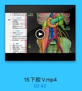 12 2 ilk lumbar artery
13 3.托正中动號 median
六、下腔静脉
O 下腔静話 inderior wena cora
圖下静味
右車丸静脉 right testicw
左事丸静話 left sesticailla
I9 Ak lumbar vein
E #M Ih ascending lumbar
七、乳摩池
八、腰交感干
14 腰交感干lumbar wympathetit
16 29 12 15 lmbar ganglion
17 證内脏神经 lambar splan
九、腰丛
18
H & lumbar plesus
19
解滚下抑经 iliohypogis
20
陈腹舰沟神经 ilioingiintn

5

生殖股神经 penitofemiina

15下腔V.mp4
02:42