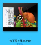 13 3. 低正中动購 media
六,下腔静脉

14

下粒静酥 inferioe vena
圖下静縣 inferior p
● 肝静味 hepatic vein
胃静脉 renal vein
右實上摩静味 right

5

左時上牌静酥 left sun
右率丸静称 right te
左案丸静脉 left tes
釀静味 lumbar vein
體升静味 ancending 1
七、乳腐池
15 乳南油 cisterna chyli
八、精交感干
16 腰交感干lumber vy=p
腰神经节 hunbar gang

EENNOVW

17 腰内脏神经 lumbar

HeSrONG

九、獲丛

16下腔V属支.mp4

03:18