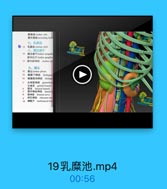 讓静味 lumhar vein
議升静脉 :cending lumtl
七、乳腐池
6 15 乳腐治 ristersa ehgli
八、捷交感干
腰交感干lanhar sympath
腰神经Tlusbar garglion
材 腰内脏神经 lumhar spl
九、原丛
■品 lesber plesus
19
精腹下神经 Wohypog
20
糖股樟经 ilioing
生播服神经 genitofem
生層支 genial branch
股支 femoral branch
股外侧皮神经 lateral f
服神经 femoral nerve
闭孔神经 obturator ner
歷低干 hanbosacrad tran

19乳糜池.mp4

00:56