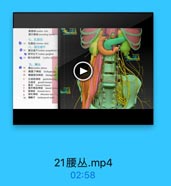 腰静味 lumhar vrin
9升静# ascendling lumliar
七、乳腐池
O 15 乳蘭油 cistemse ebyli
八、腰交基干
15 128Tlamhar syaathetie
!EHE T lumber ganglion
◎# 鹽内限神经 lumbar splaesd
九,腰品
1 // lumber plesus
19
糖腹下神经 iliohypoyaer
10
糖股海排经 ilioinguifin
$ 生融設神经 genitoferminl
生種支 prnital branch
5 femoral branch
验外侧皮神经 lateral femiiit
股神经 femoral oerve
闭孔神经 obturator nerve
BEIET lumbosacral trunk

21腰丛.mp4

02:58