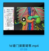 第五节 腹膜F

(一)拉置与财轉
1.位置 Fklary
時 背门的体表投影
2.肚帳

e

(三)電门,育到和商限
1. 青门renal hlum
2 He renal sinus
3. lMrenal pedicle
(四)青血管考國設
1.青动時和津段
青动脉 penal artery
92
1e renal angtent
E& & l uppepolar aner
F-1 to M loeer polar arter
94 2 W19 l renal voin

95(二)被膜
1.i0.ronal fescia

1c肾毗邻.mp4
02:48