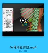 第五节 腹膜片

(一)拉雪与财幹
1-位置 青kidnry
著 青门的体表投影
2.世帳
(三)薄门,青卖和轉
9 1. MlTronat hium
2 Hirenal sinus
3. il M renal pedicle
(四)青立管与商段
1.雞动麵和電段
92 1 rmal segrett
上品动M upper pola arter
F tB koeer pelar arter
s4 2. 10lkronal vein

炒(二)被理

1d肾门肾窦肾蒂.mp4

01:09