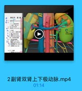 第五节 腹膜厂
O # 查讀離限 rtropecitonoal spi
(一)位置与雞報
1.位置 骨kidnry
背门的体表投影
齊計角 voctebcoital wgl
(三)胃门,青需和商
1. /7ronal hium
2 Mi renal snus
3. M renal pedicle
●(四)青血管与育段
·1青动族和衛屋
on Rlremal arlery
上級动味 uppe polar anter
94 2 @0lkrenal vein

(二)被膜
1、雪味麵mn f

2副肾双肾上下极动脉.mp4

01:14