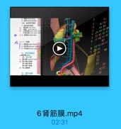 2 Hirena Sius

2333456789

3. Al Wrenal pedicie

2

(四)育血管与舞段

42 62

1.育动時和青限
#1 W 5lA resal artery

3

a2 63

下椒动 l lowe polur arien

3'

14 2. 019lkrenal vein

24 44 64 84
S 25 45 65 85

95(二)被膜

26 46 66 86
167

1. Wi5Mrenal fascia
2. M85 I adicose capou
3 1FH i fibrous capsulo.

28 48 68 88

三、输尿管鹿部

29 4

90

%输采管 uefer

s1

w W.Ll -aprumal gland
4 青上腸上动味

52

骨上陸中动線

53

請上線下物綠
時 灣上線静味

5

75.95

五、腹主动酥

76

6肾筋膜.mp4

02:31