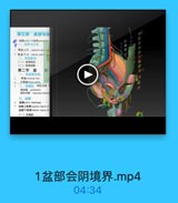 第五章 盆部与会
堂部pelri 与会期periannnt

11

一、城界与分区

12

1 骨益上口 superior pelrice

13

1 骨业 下□ Isferiar pelvle is

14

3
15

(一)体表标志

16

(二)体表设影

17

第二节 盐

部

,骨益整体观
W tE termisal line

4
小骨盐leiser pelvis
二、盐壁肌 团孔内梨
幫状机 pirifiemis
闭孔内机 obearator imterc
三、盐觸
量馬pehic daphragn
1 盐購上筋額 wperi faacin of
盐編下第膜 inferior fanas af
(一)群便机

1盆部会阴境界.mp4

04:34