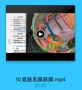 (二)盆脏筋膜
21
盆脏筋膜 visceral pel
前列線期 fascial sheat
前列線静詠丛 prost
23
直肠膀號 rectovesid
(女性为直肠阴道隔:
24 直肠侧材带 lateral re
25 五、盆筋膜间隙
(一)耻骨后限
耻骨后陳 retropubic s
(二)直肠系膜

27
直肠系膜 mesorectam
28
直勝系膜筋膜mesorc
六,盆部的血管、淋
(一)动酥
1.葡总动酥common f
2 請外动脉 edemal ila

10直肠系膜筋膜.mp4

01:41