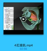 三、盆馬
W pelvio disphragm
产盆開上航讀epetiar fase
盆下能膜 inferioe fase
(一)紅提肌
1●紅提M levatoe ani of lev
9 中紅提肌健号 :endineus a
尿生精膜 wrogenital d
◎ 益腐製孔
10、1前列摩提肌levator pro
製骨調道單 puboraginm
11
2址骨直話肌 pubrectal

12

3點尾机pubococcyyrun g
4露尾机 iliocoecygeus
(二)電骨肌

14

尾骨Mcoccygeus

15

会翻中心量 perincal
16

紅尾韧带
anocoecy
四、盆筋膜

4肛提肌.mp4

02:56