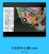 三、盐腸
O Mpelvie diaphrgm
,盆購上筋膜wperior fuso
盐照下能膜 inferior fasc
(一)紅提肌
●紅提M levator ani of lew
4 ●紅提肌號号 tendinous a
A 尿生殖腸 urogenital d
◎ 盆腿製孔
10、1前列線提Mlevator prs
●批骨調道机puboragina
11 9北骨直新M puborectalr
2口3址尾机 pubecoceygrus:
1 14倍尾肌ilocoerygeus
(二)尾骨肌
1Q 尾骨机coccygrus
05● 会期中心量 perincal
16
紅尾韧带 anocrcog
四、盐筋膜

5会阴中心腱.mp4

01:22