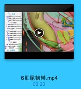 三、盐国
W pelvie disphragm
:、盆票上筋讀 eperior fum
盆購下節膜 inderior fam
(一)紅提肌
●訂提M levatosr ani of le
中江提肌健号 tendinsus

YU CONG YI3C

保生殖福 srogenital
◎ 监驅製孔
10、1前列腺提肌levator pm
●北骨調道M pubowagin
1 Q北骨直肠肌 puborecta
12 -世尾M pubecoccygeus
13 1\尾肌 liocoecygrus
(二)尾骨肌
14 尾骨 coccygrus
●50会期中心計 perinonl
每1 江尾材带 #0c0c0元
四、盐筋膜

6肛尾韧带.mp4

00:20